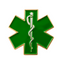 Green Medical Ambulance Star Pin Badge
