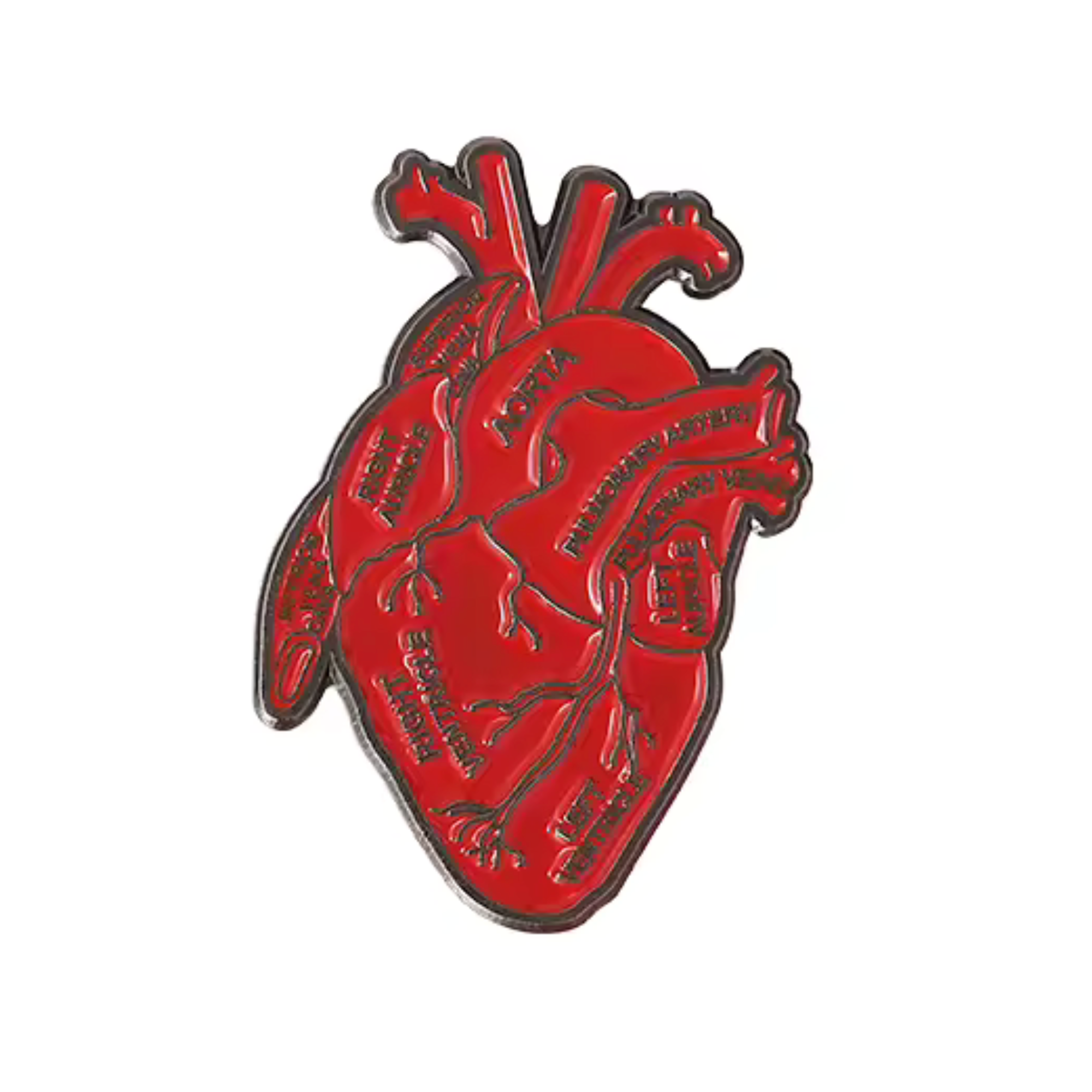 Student Illustrated Surgeon Heart Pin Badge