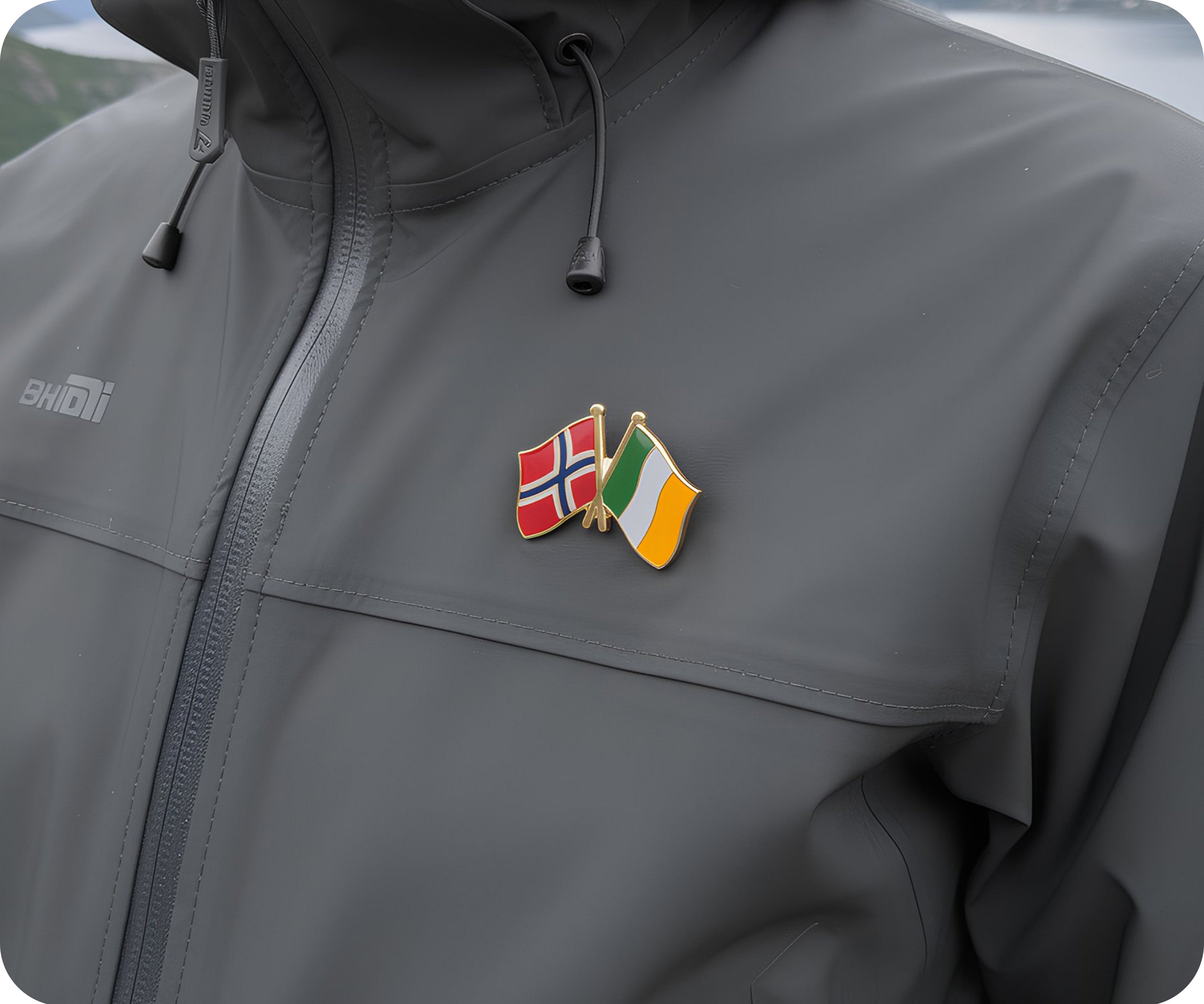 Pin de la amistad entre Noruega e Irlanda