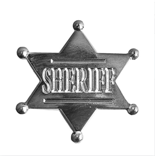 Silver Sheriff Pin Badge