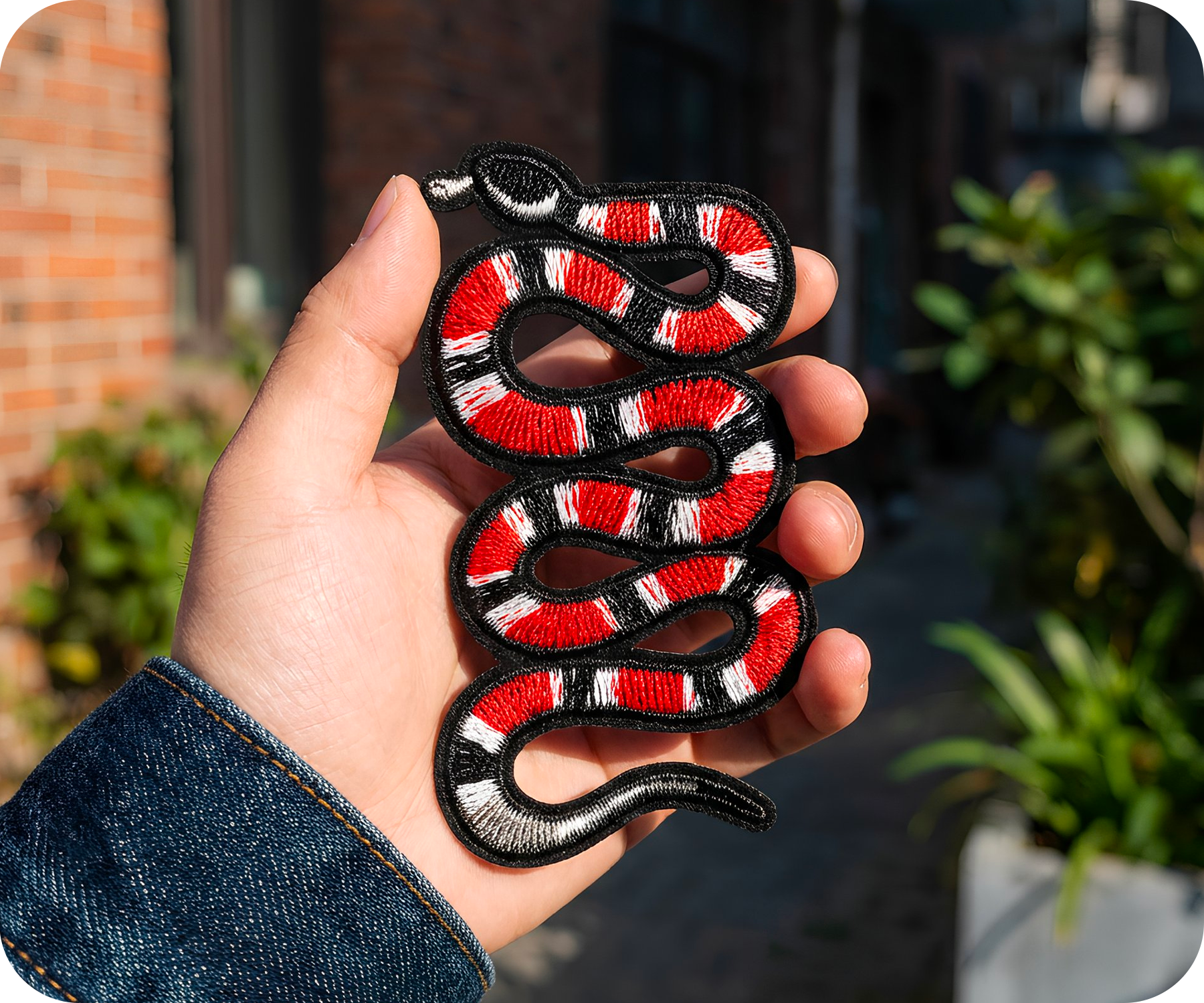 Coral Snake Iron On Patch (10 x 4cm)