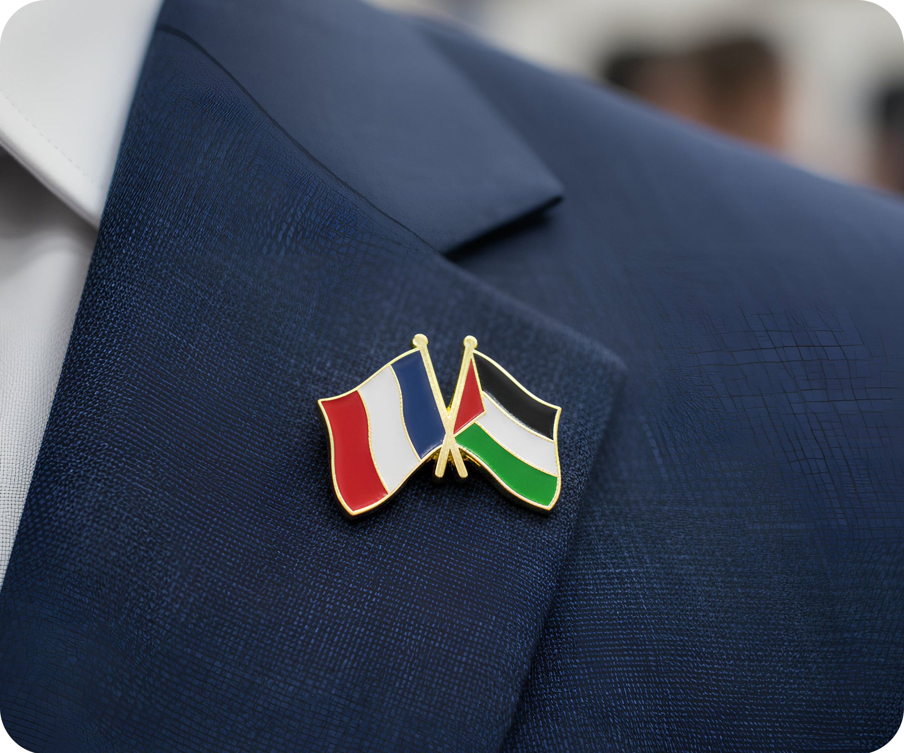 France & Palestine Friendship Pin Badge