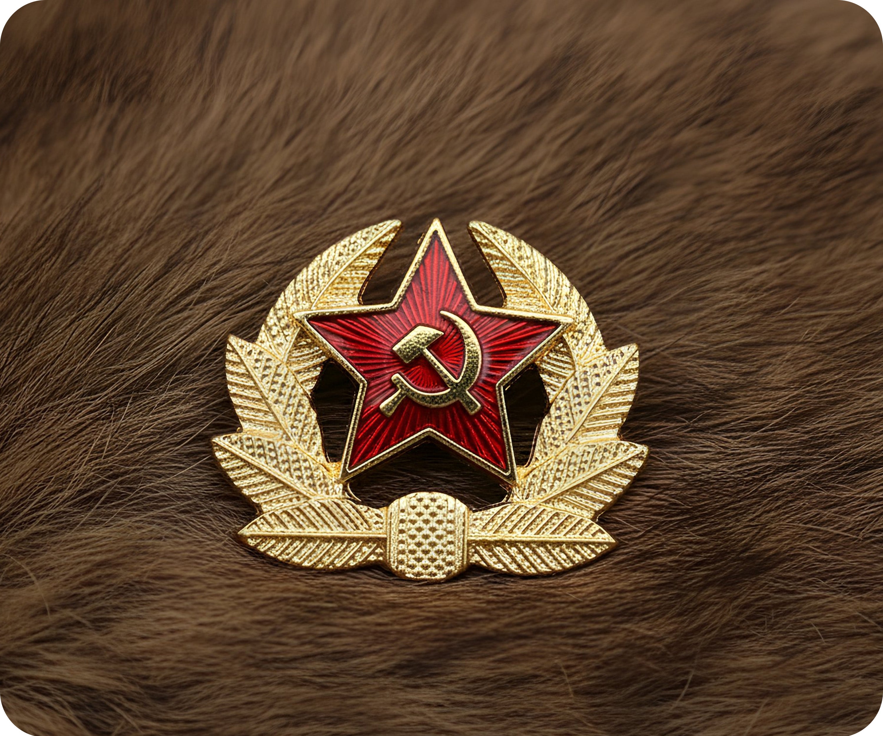 Soviet Star Wreath Pin Badge