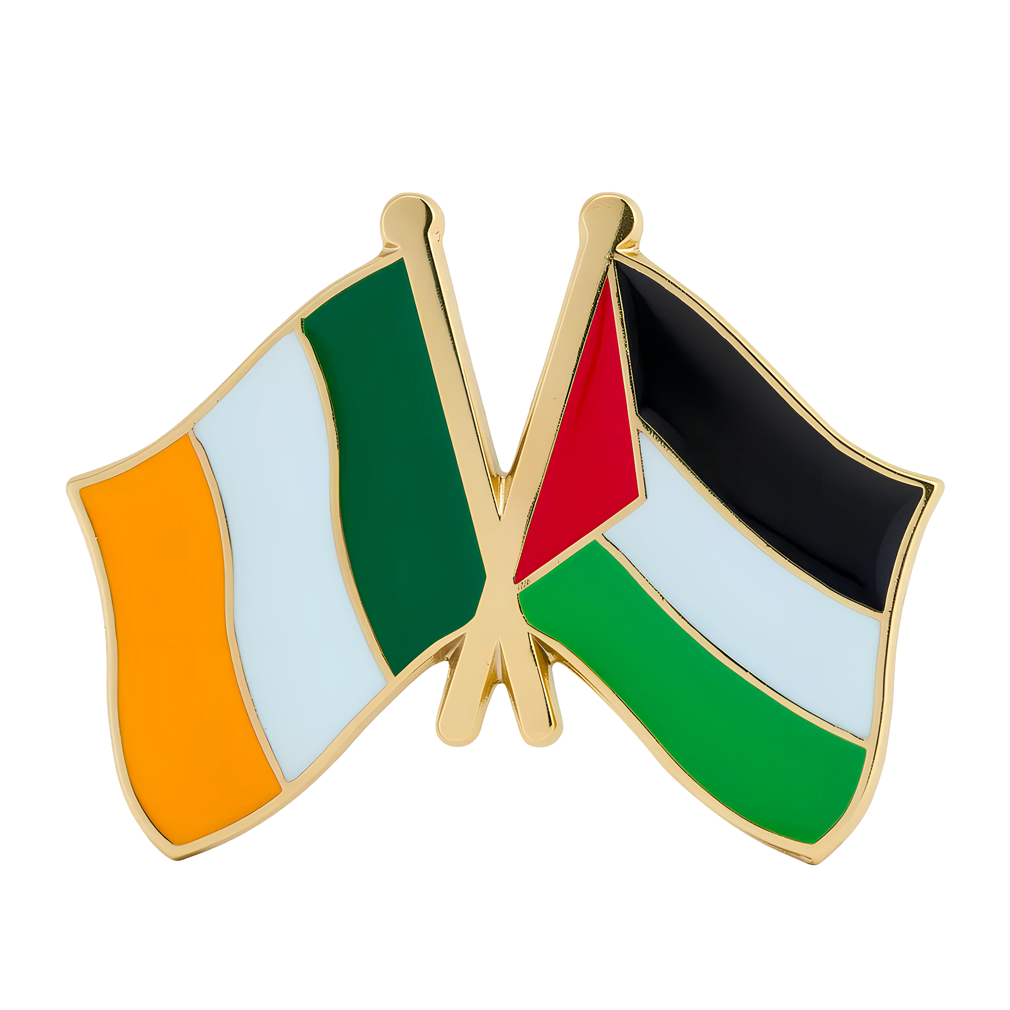 Pin de la amistad entre Irlanda y Palestina