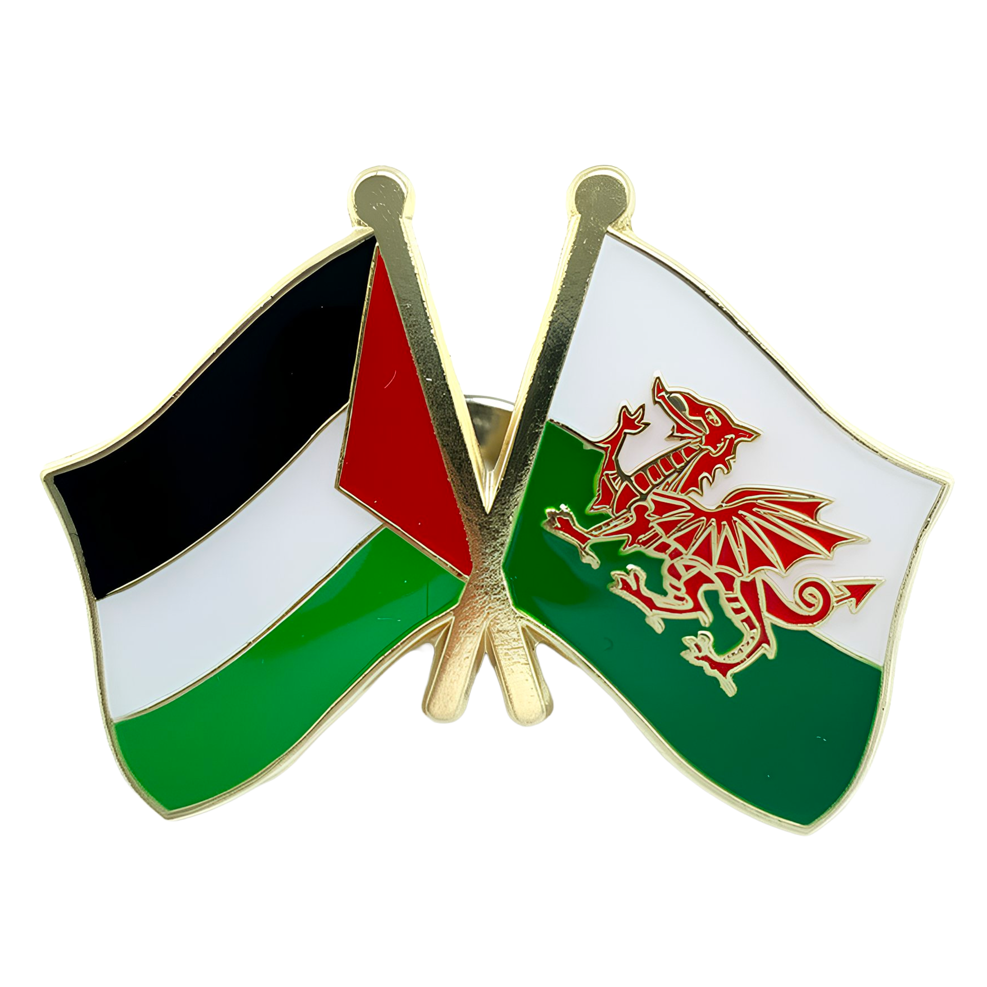 Pin de la amistad entre Palestina y Gales