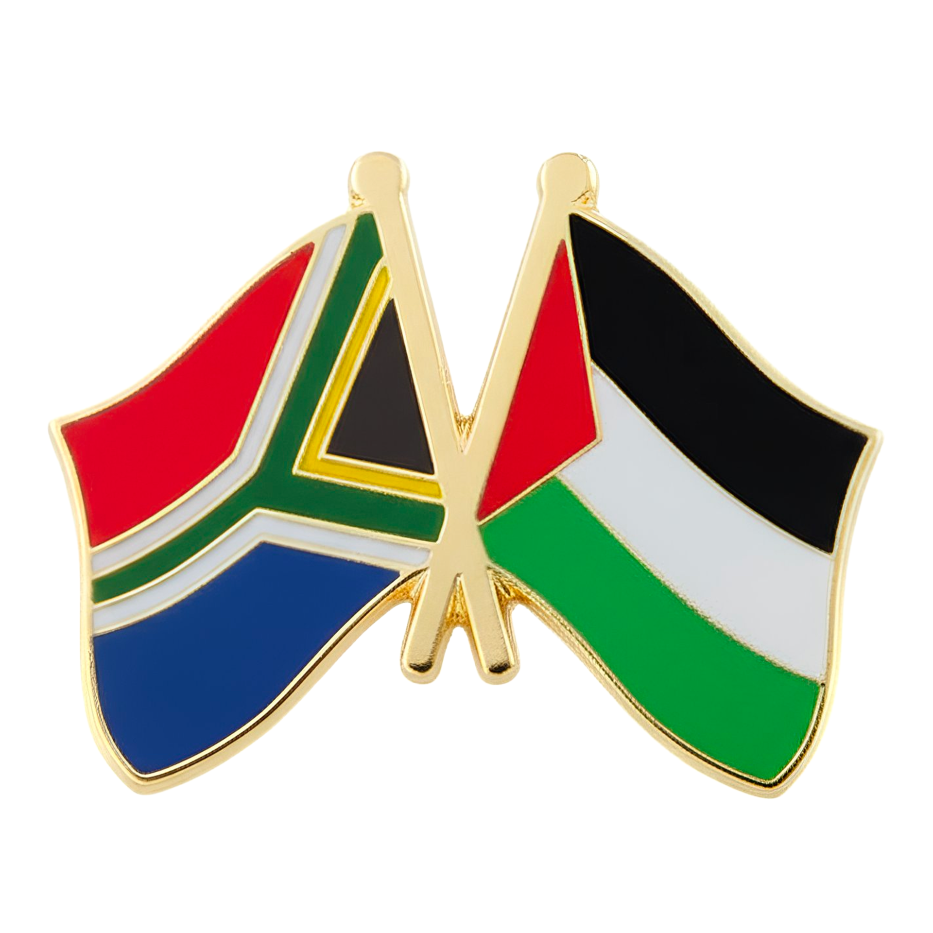 Pin de amistad de Sudáfrica y Palestina