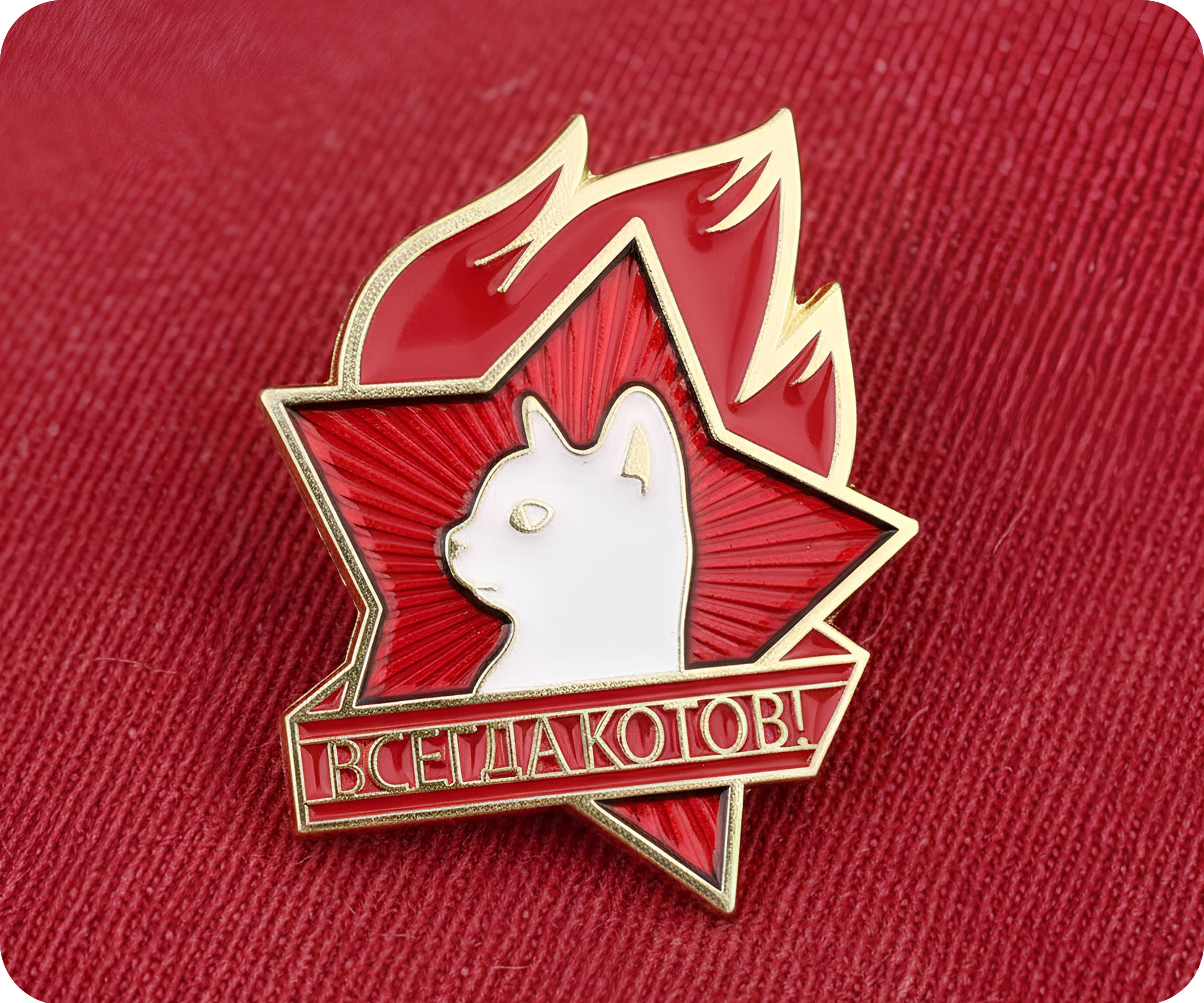 Soviet Young Pioneer Everything for the Cats! USSR Pin Badge
