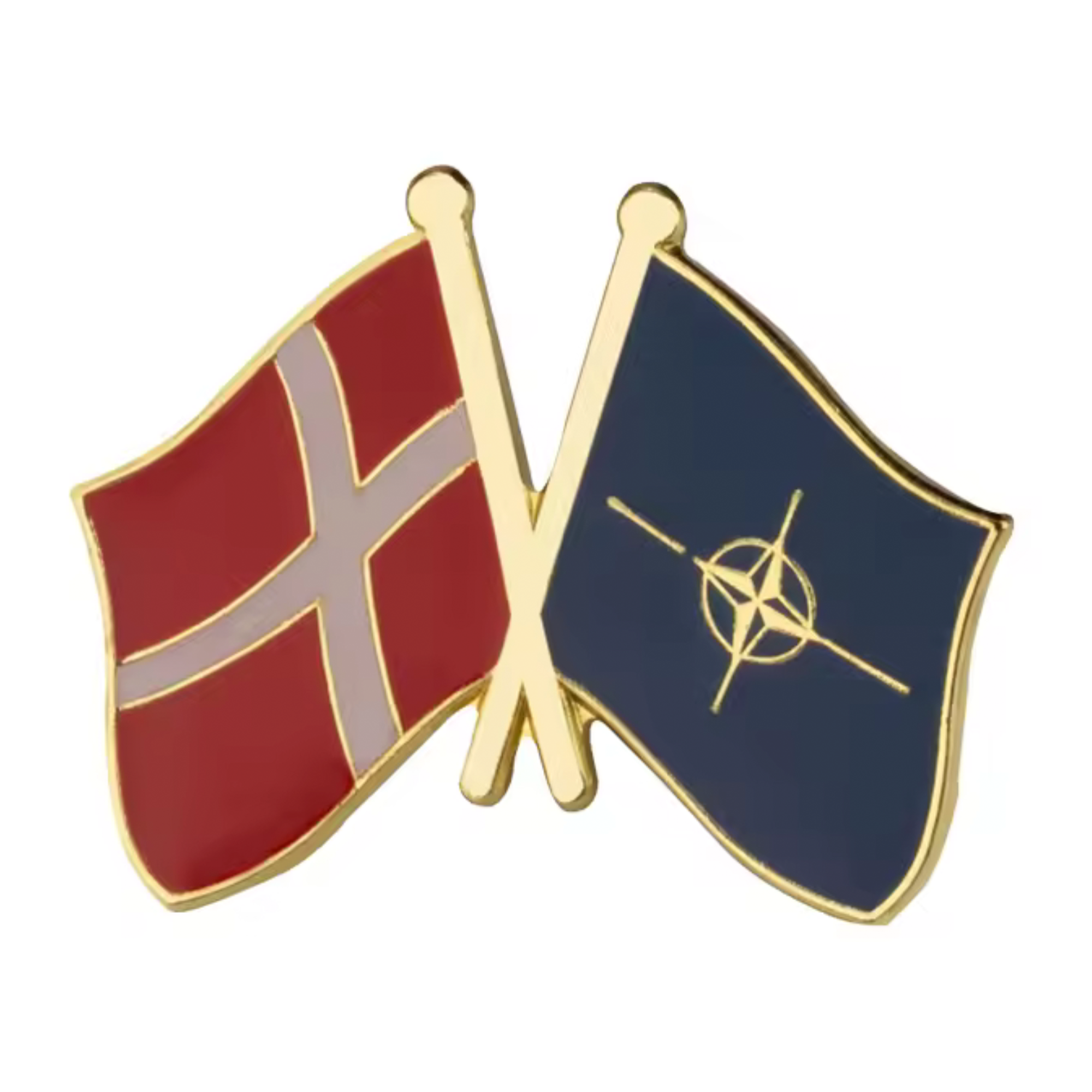 Denmark & NATO Friendship Pin Badge