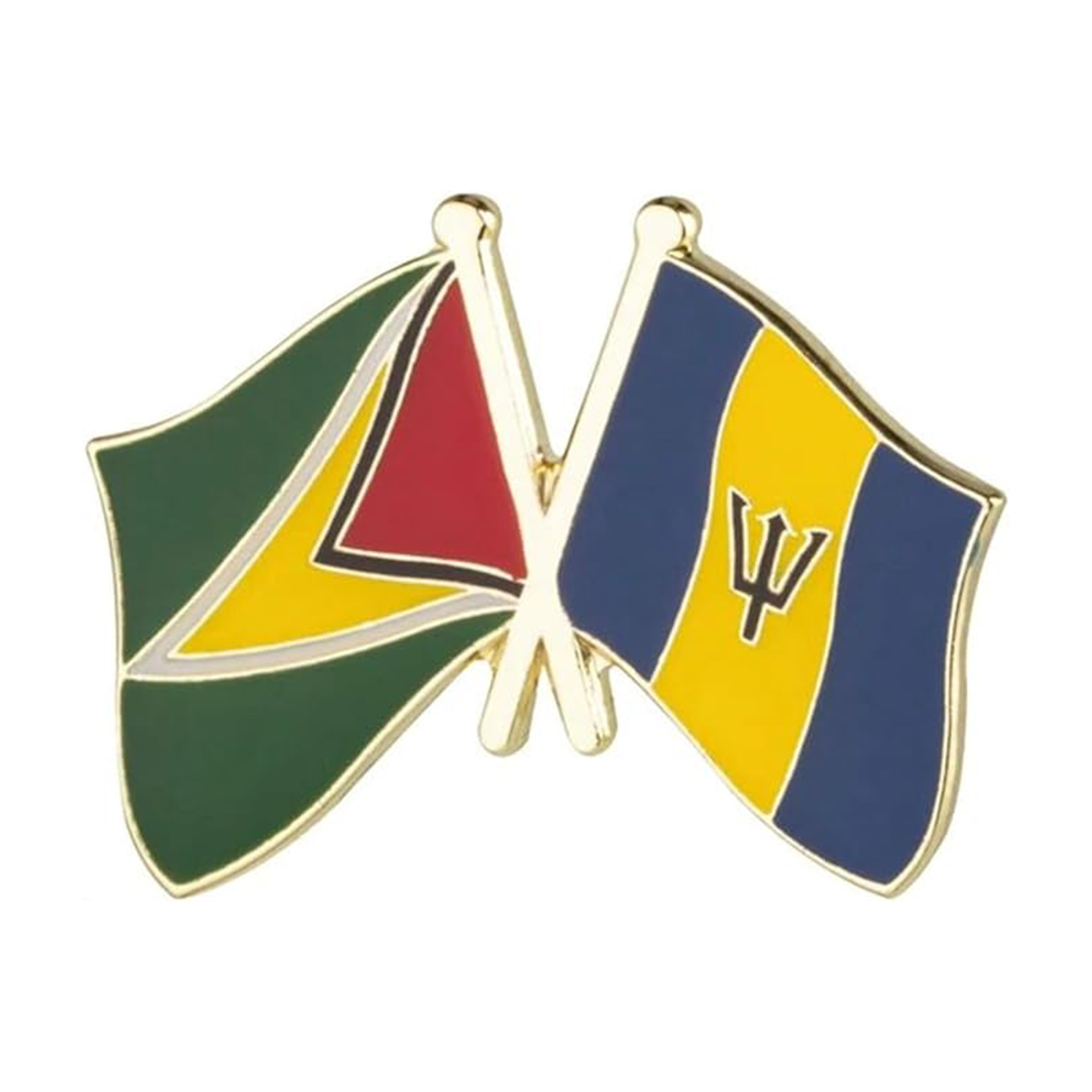 Guyana & Barbados Friendship Pin Badge Main image
