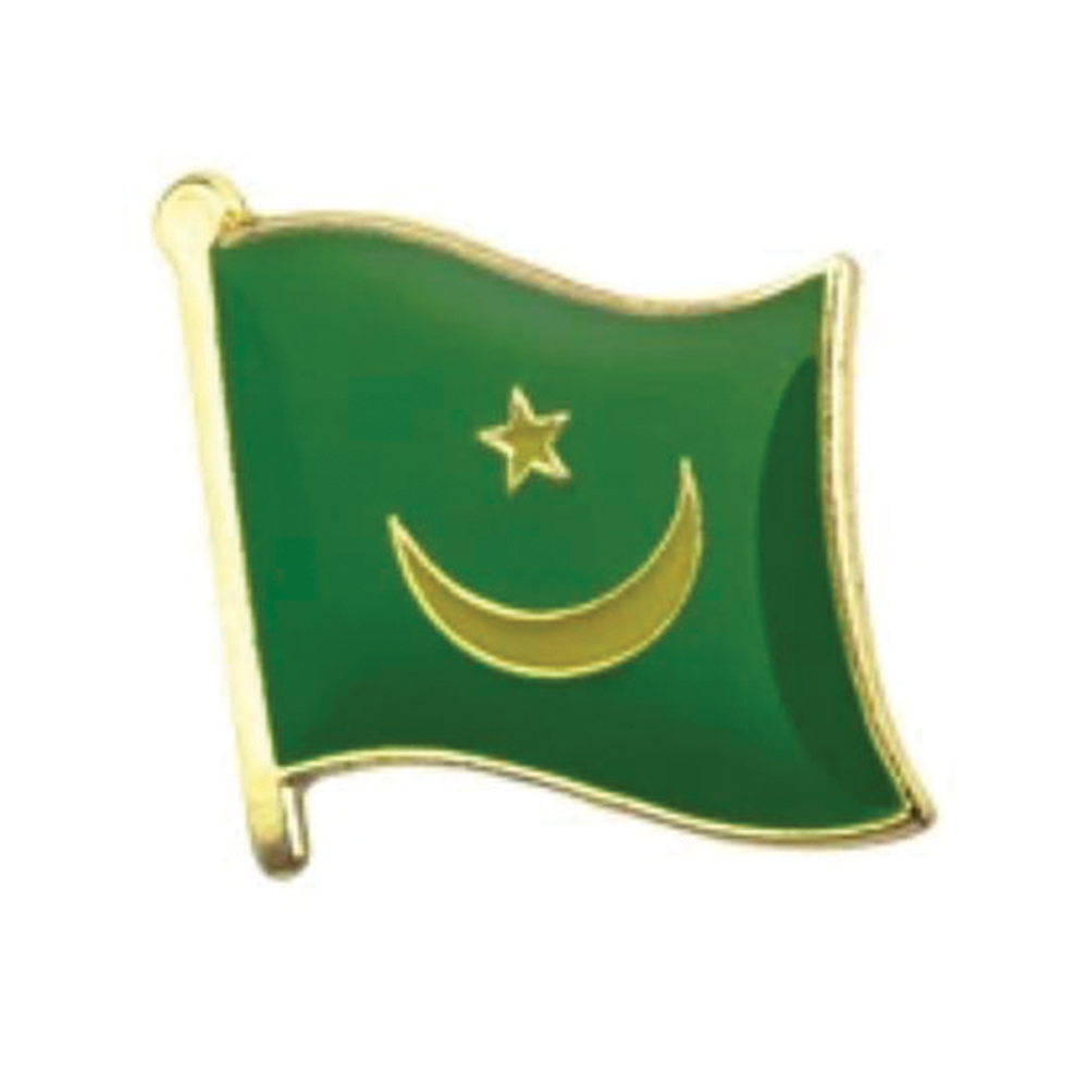 Mauritania Flag Pin Badge Main image