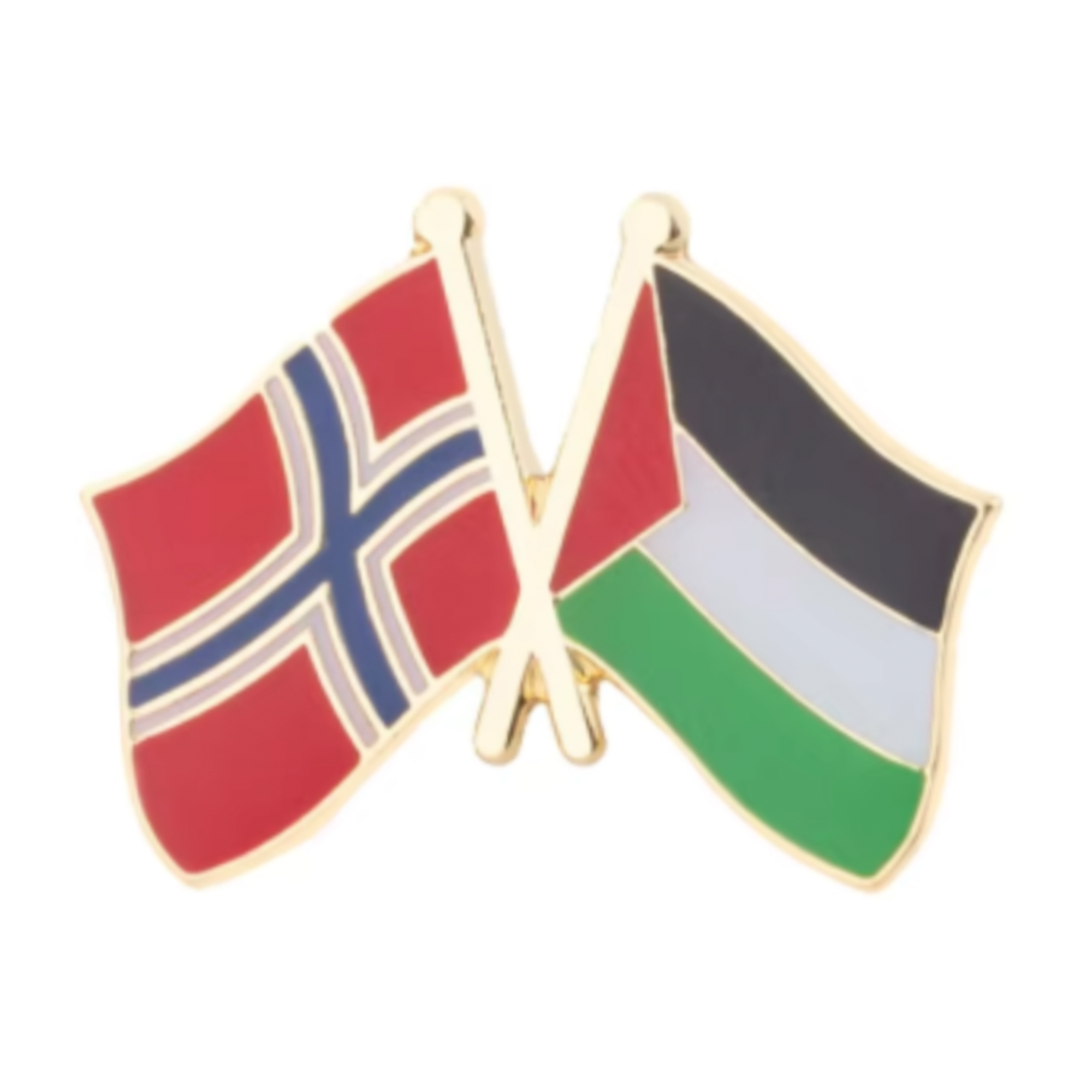 Norway & Palestine Friendship Pin Badge Main image