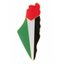 Palestine Country Shape Gaza Pin Badge