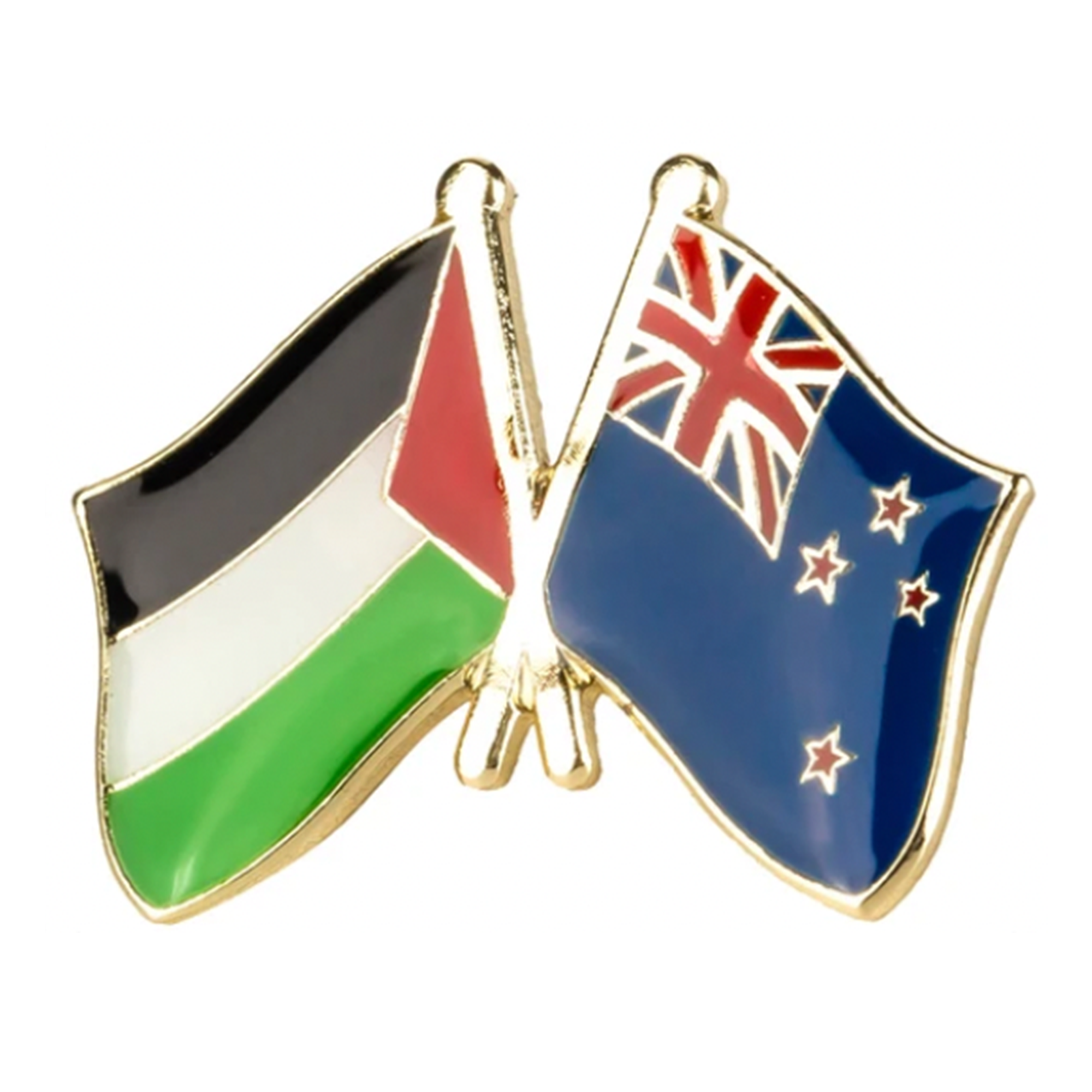 Palestine & New Zealand Friendship Pin Badge Main image