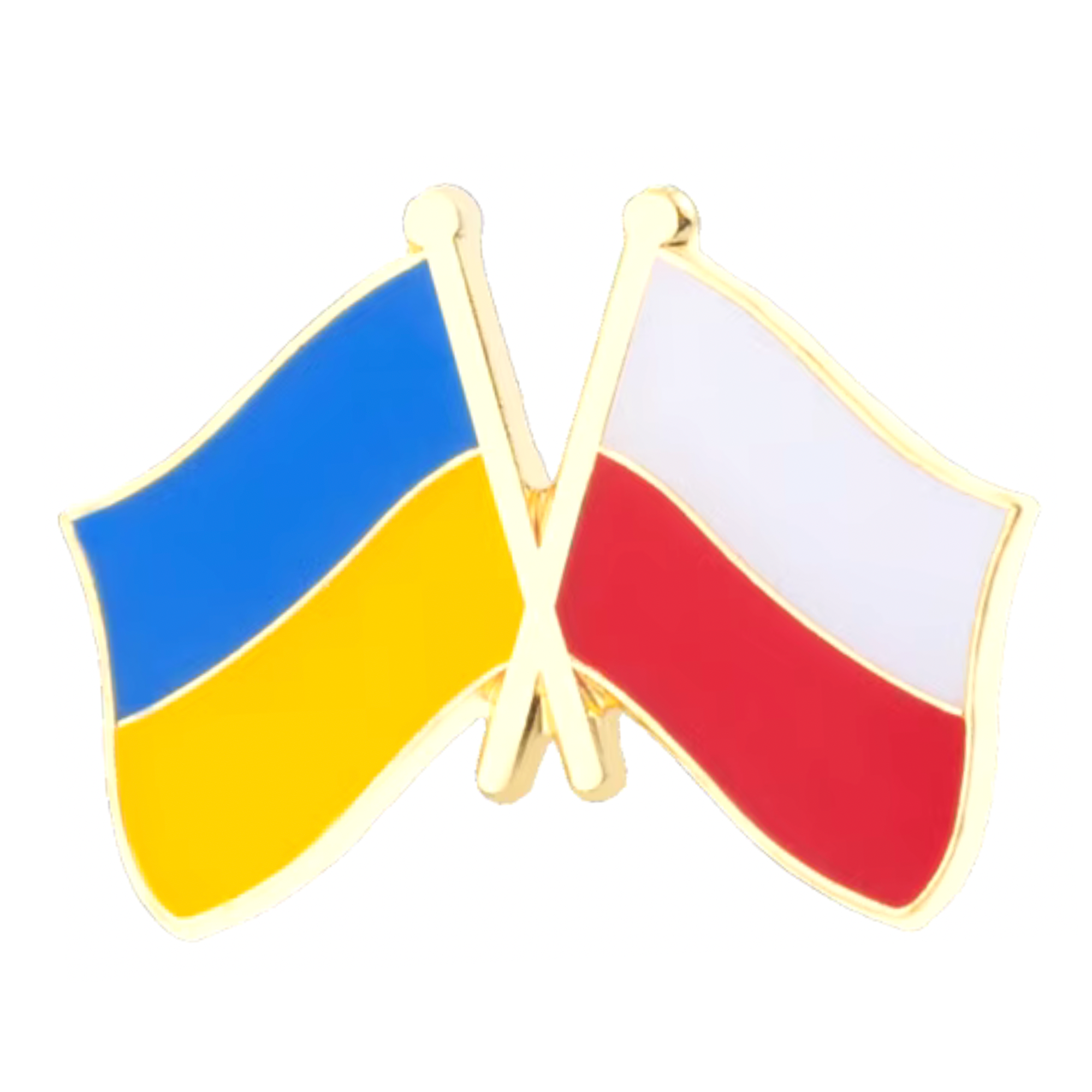 Ukraine & Poland Friendship Pin Badge Main image