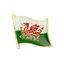 Wales Dragon Pin Badge