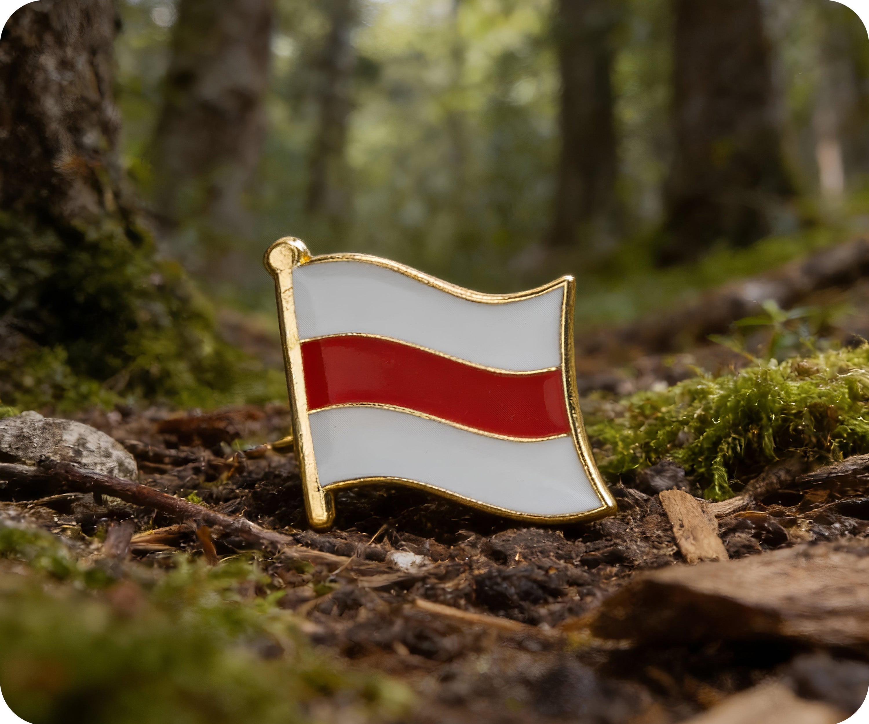 Belarus Flag Pin Badge Secondary image