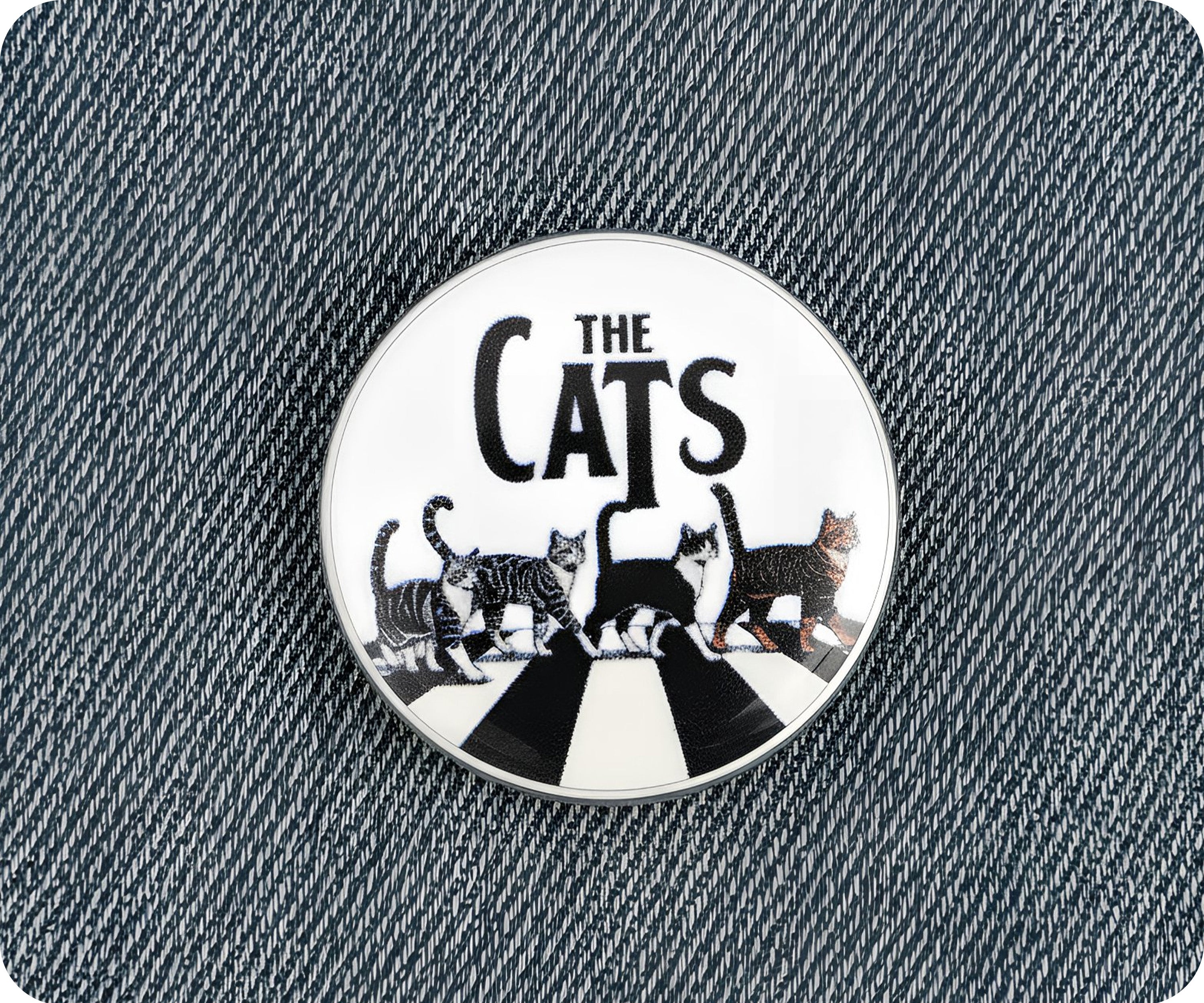 The Cats Music Crossing London Pin Badge