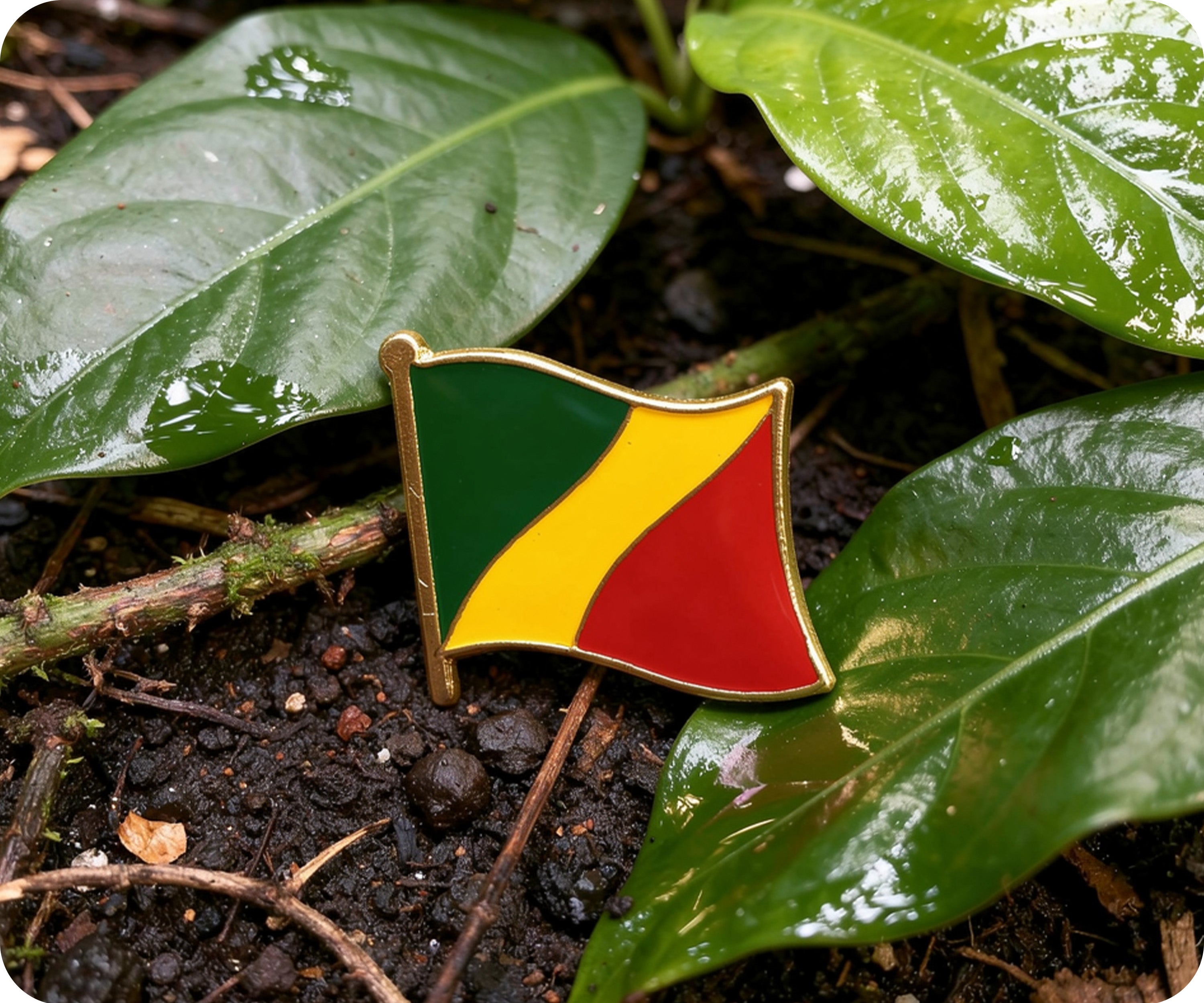 Republic Of The Congo Flag Pin Badge