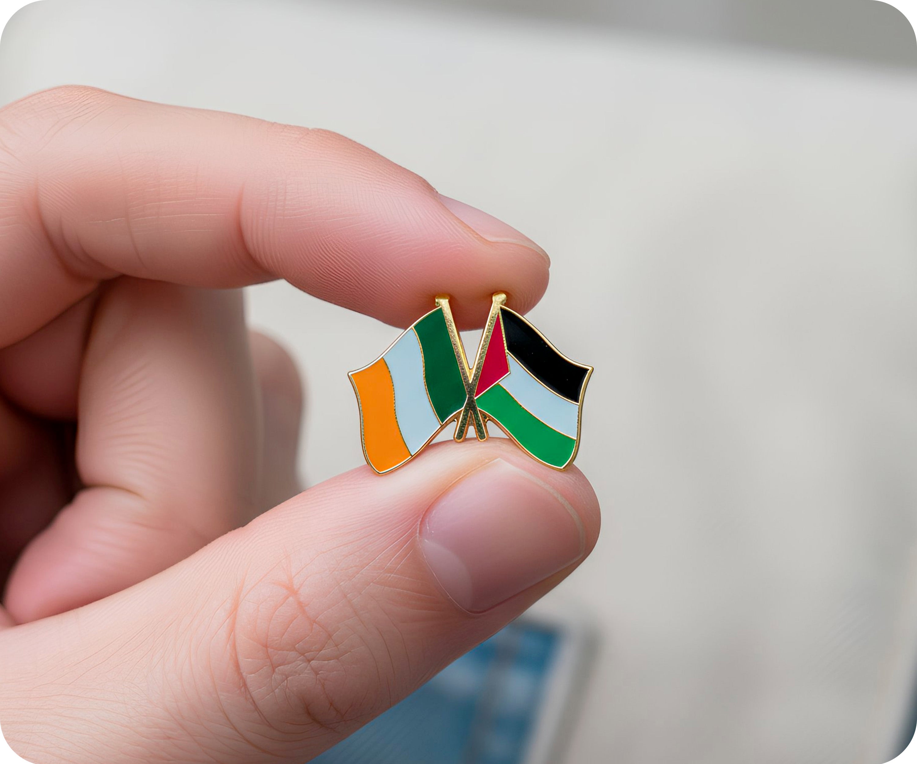 Ireland & Palestine Friendship Pin Badge