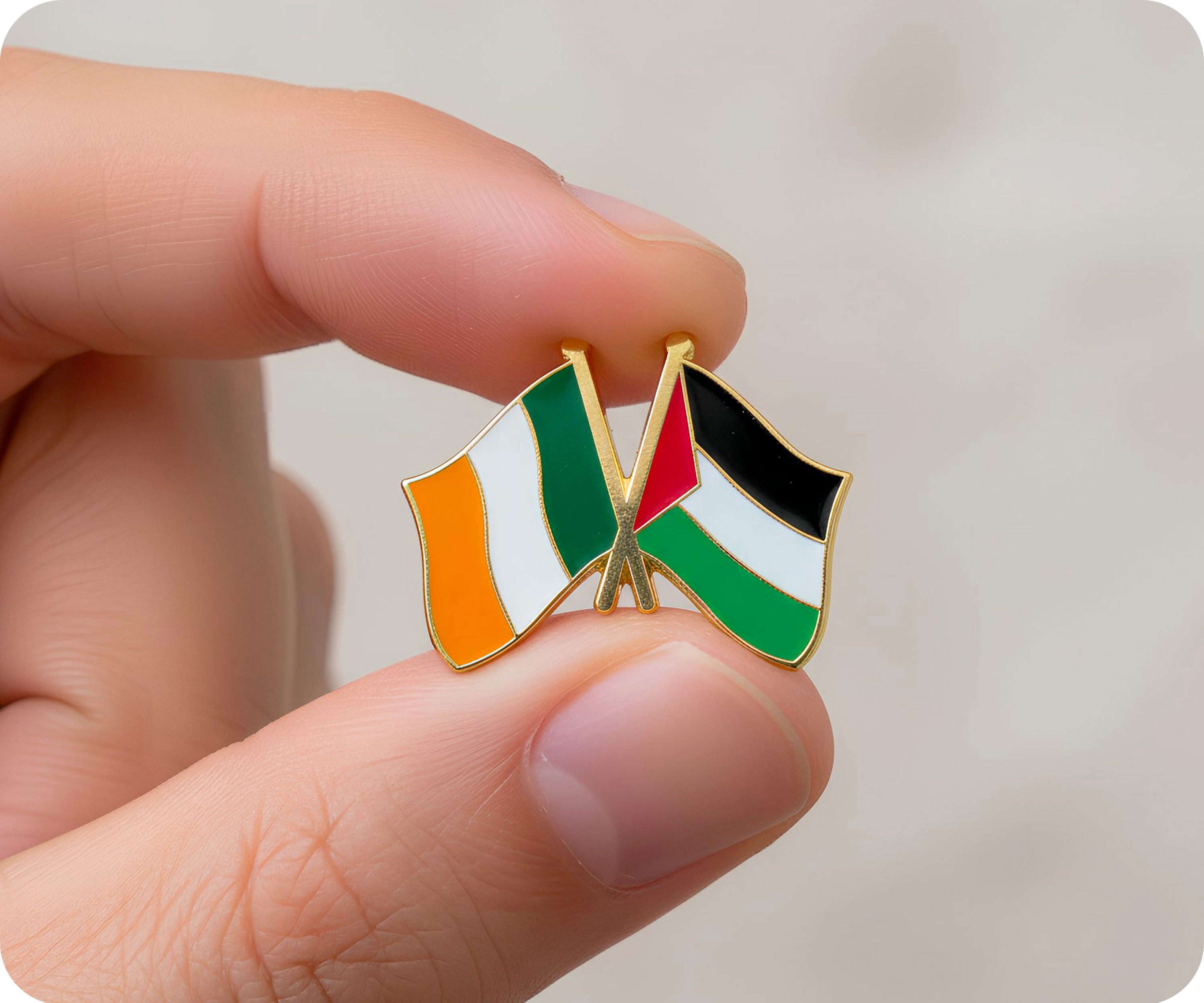Ireland & Palestine Friendship Pin Badge