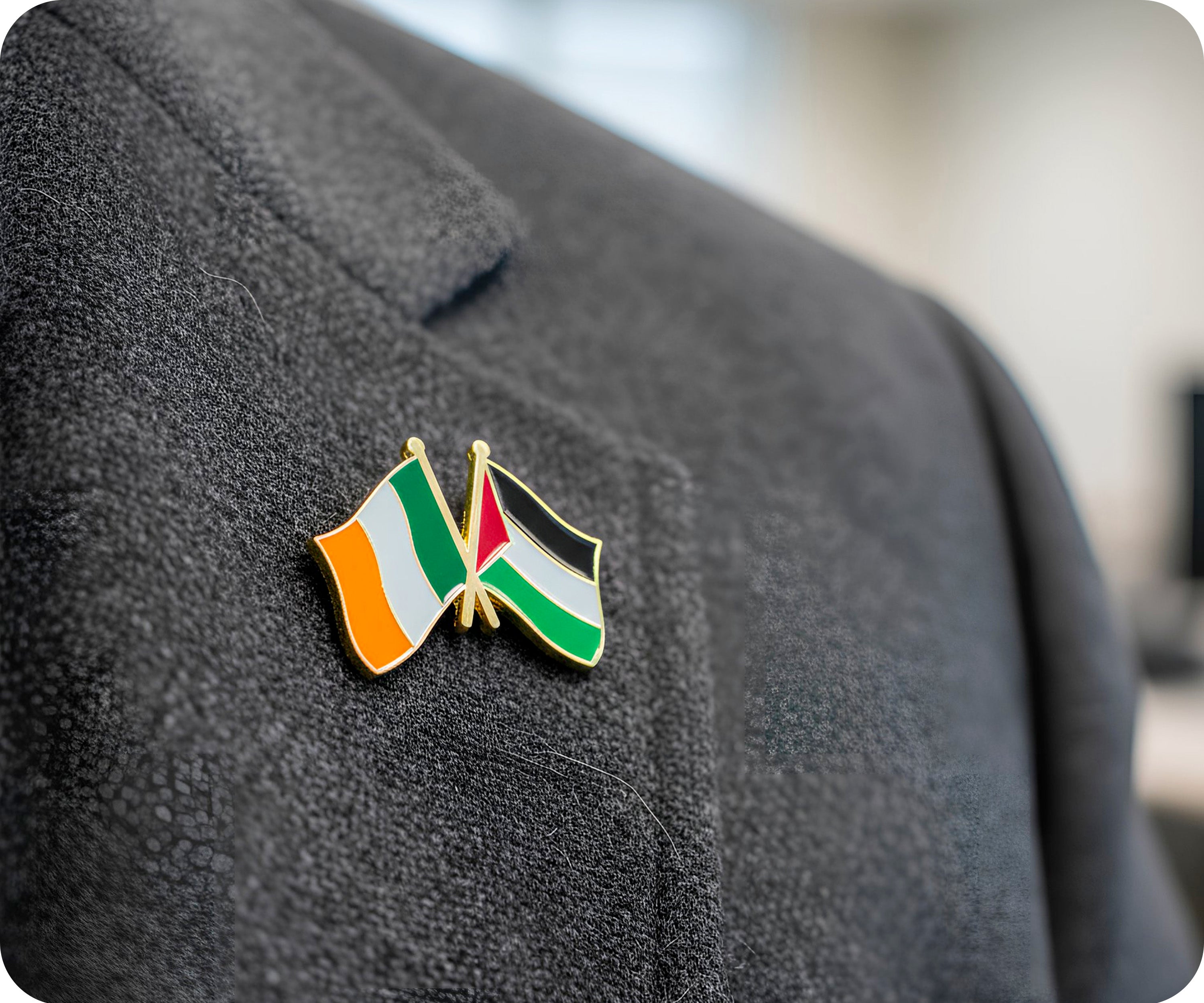 Ireland & Palestine Friendship Pin Badge