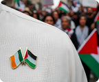 Ireland & Palestine Friendship Pin Badge