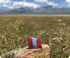 Mongolia Flag Pin Badge