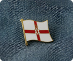 Northern Ireland Flag Pin Badge