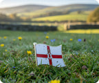 Northern Ireland Flag Pin Badge