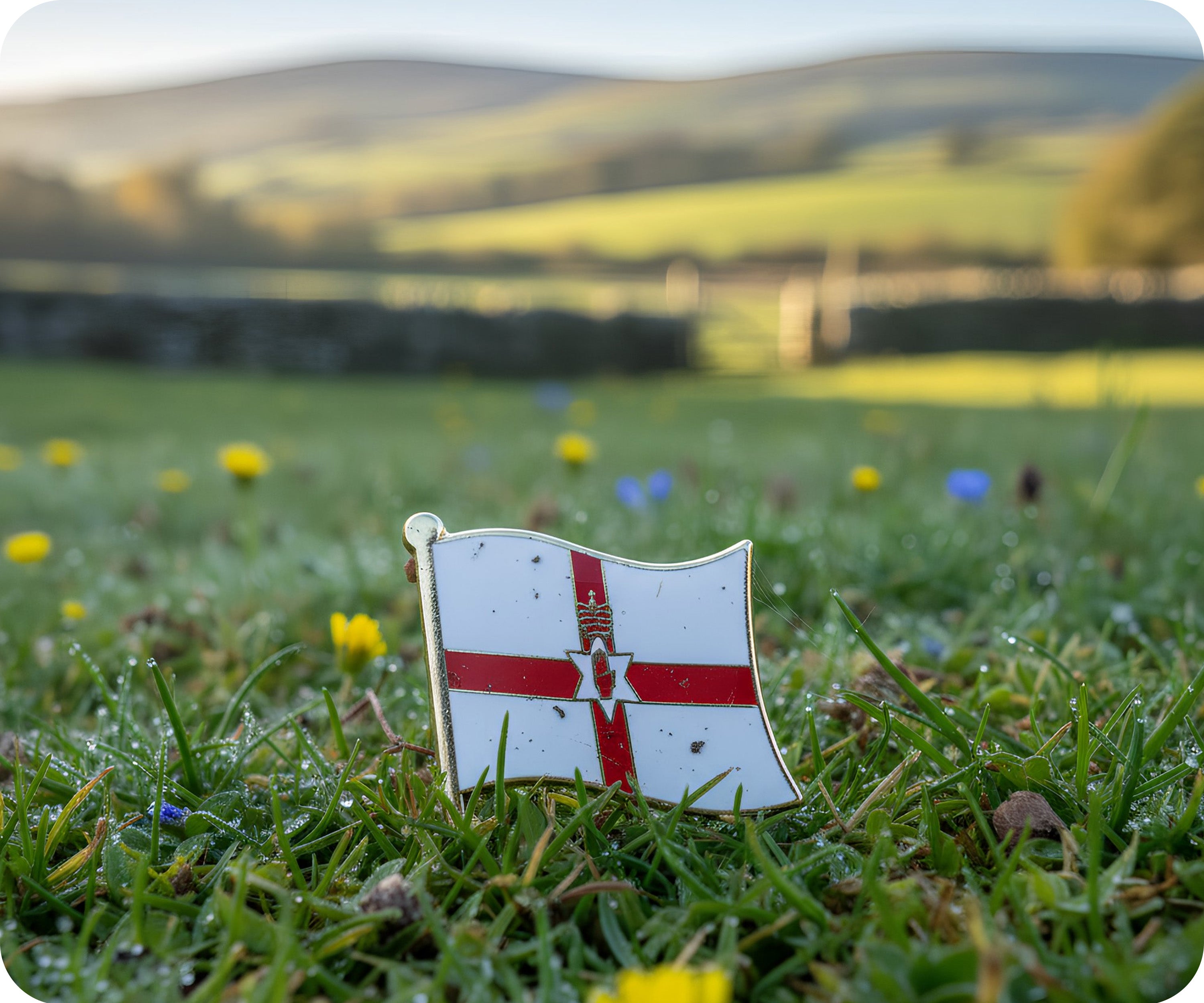 Northern Ireland Flag Pin Badge
