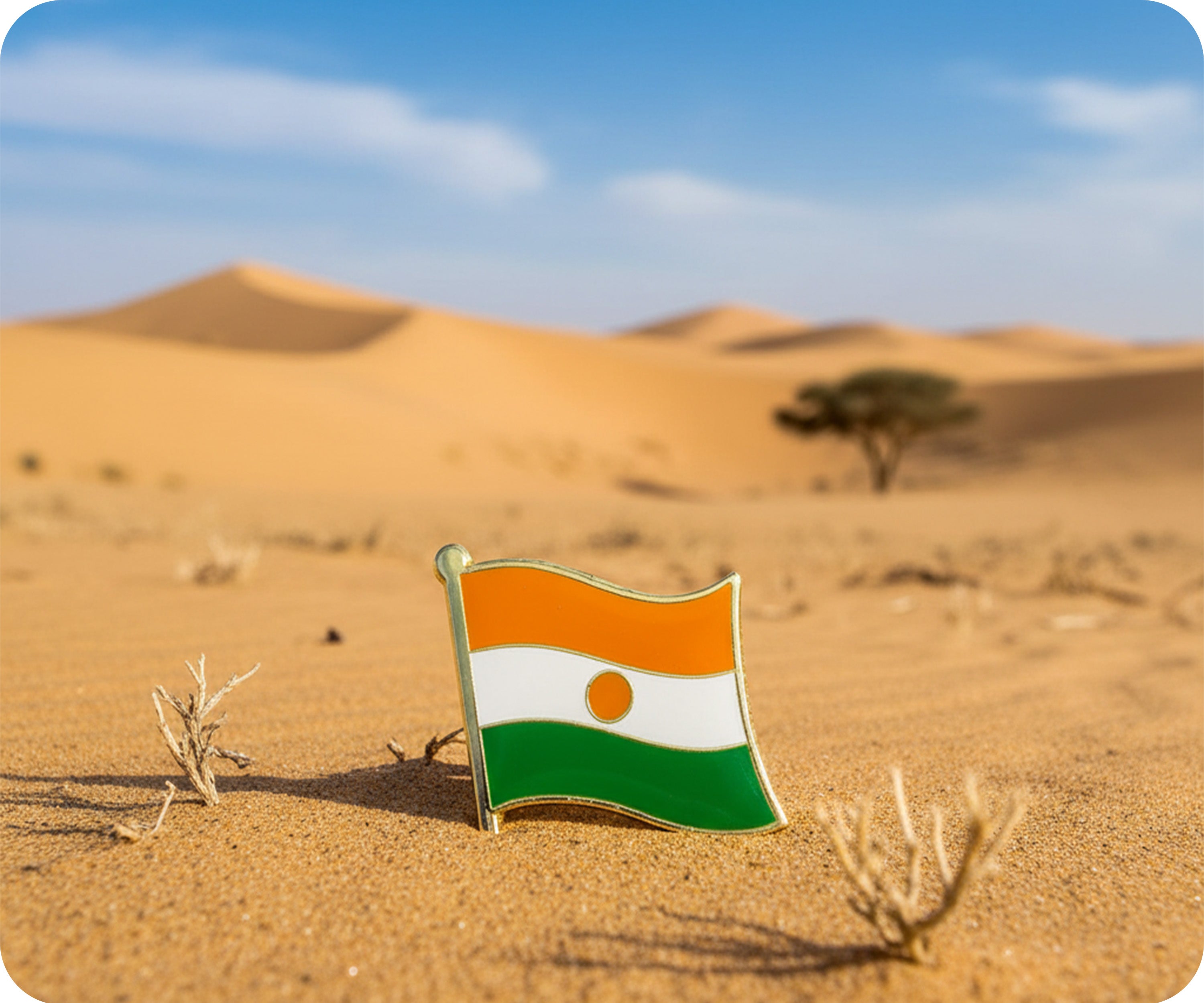 Niger Flag Pin Badge Secondary image