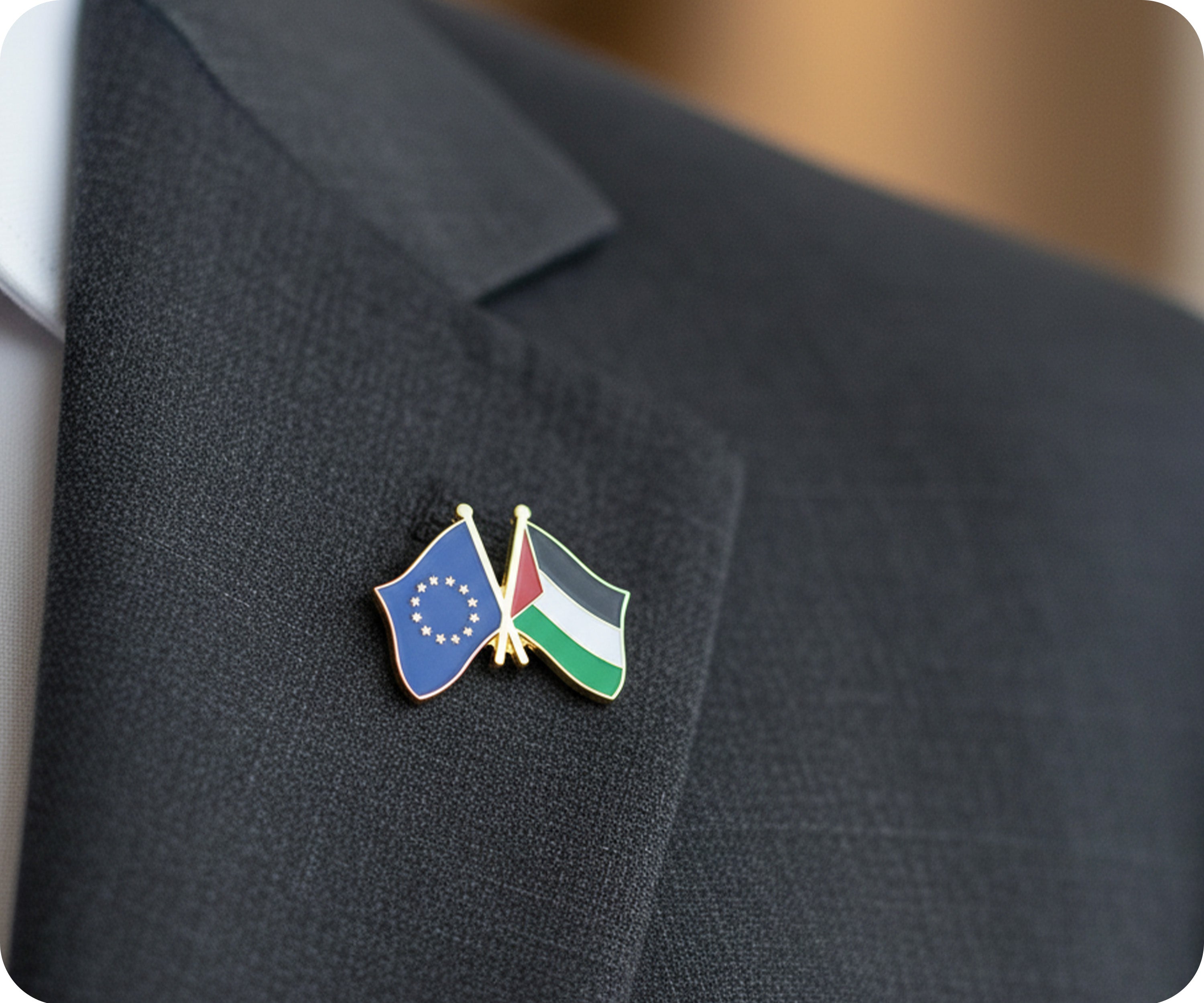 European Union & Palestine EU Friendship Pin Badge Secondary image