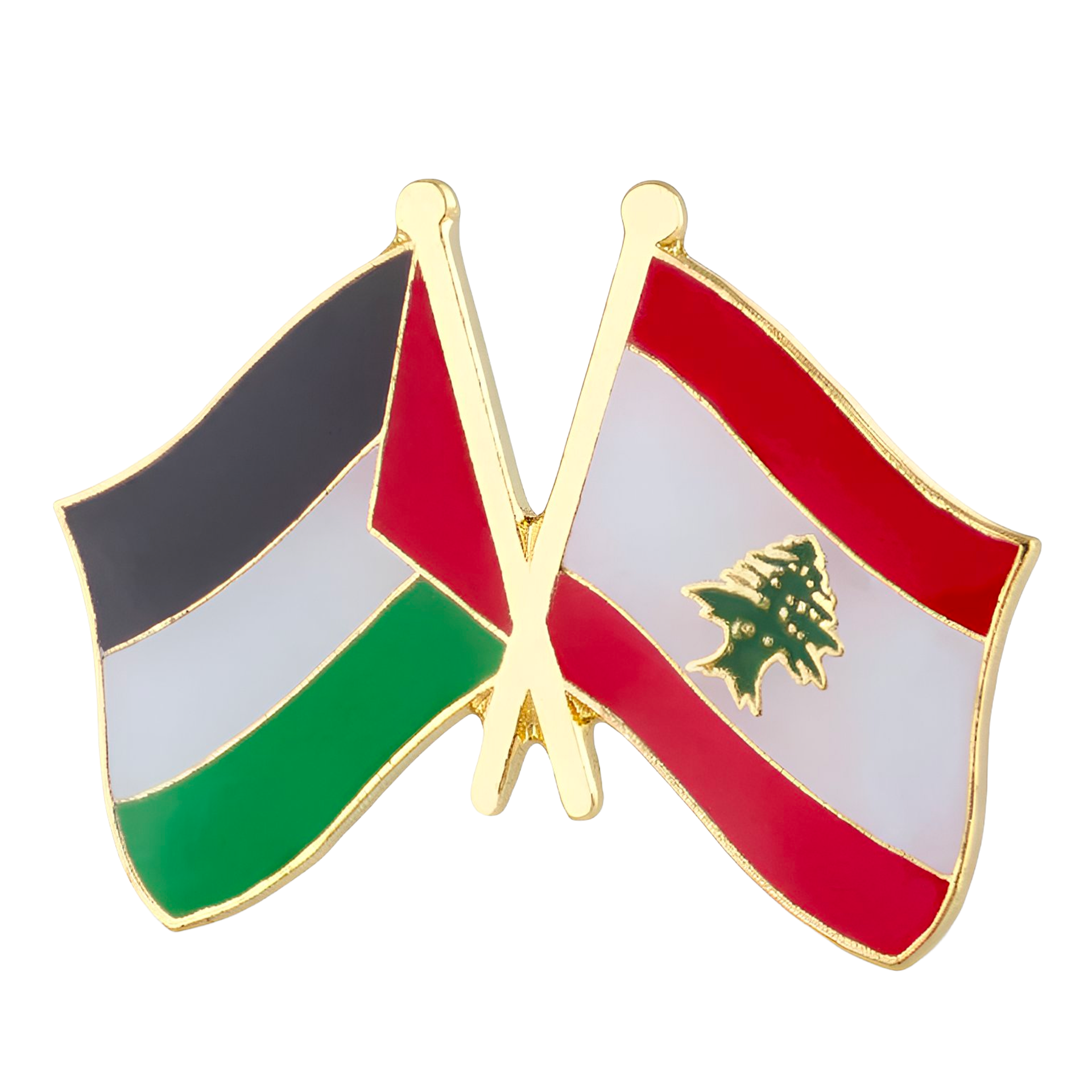 Palestine & Lebanon Friendship Pin Badge Main image