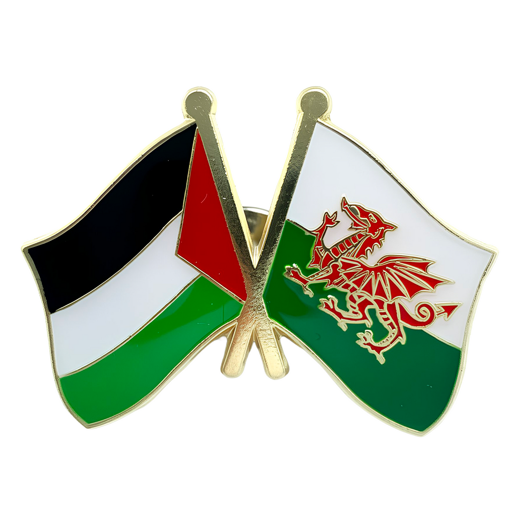 Palestine & Wales Friendship Pin Badge
