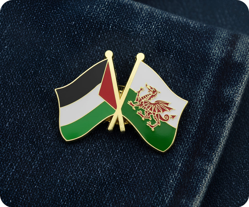 Palestine & Wales Friendship Pin Badge