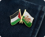 Palestine & Wales Friendship Pin Badge