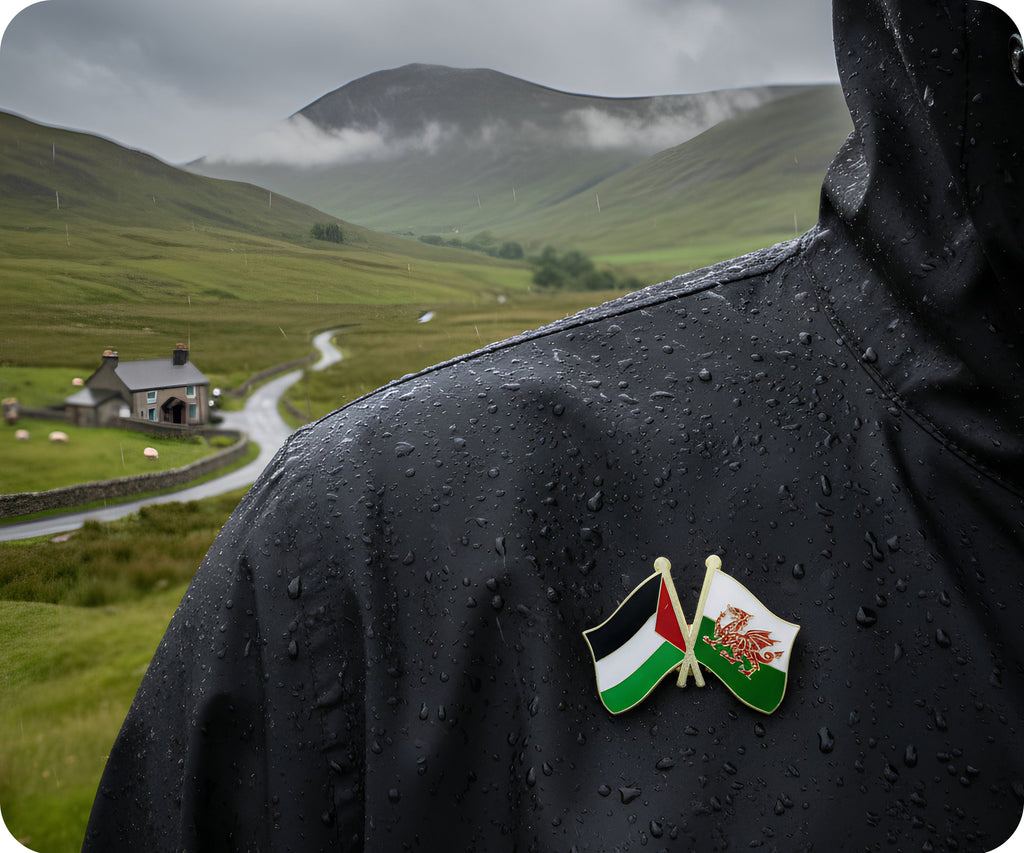 Palestine & Wales Friendship Pin Badge